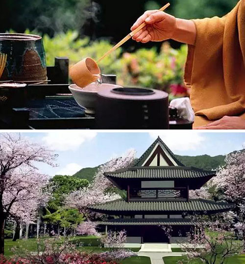 茶道和日式建筑