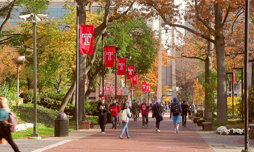 美国天普大学