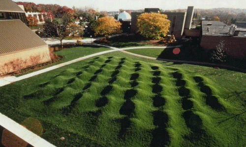 密歇根大学景观设计