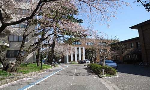 日本千叶大学