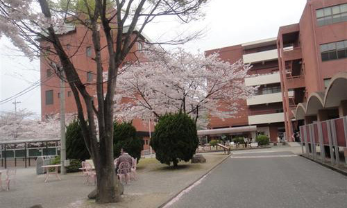 九州女子大学留学