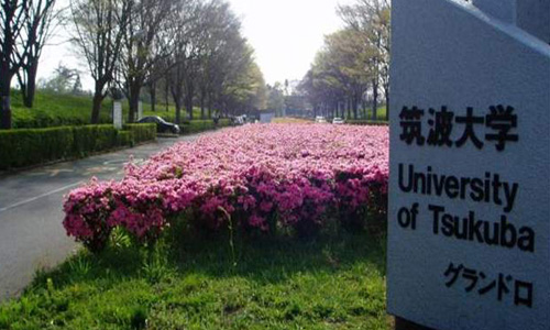 日本艺术留学筑波大学专业