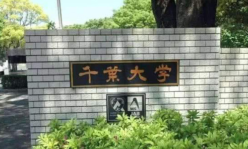 千叶大学国内认可度高吗