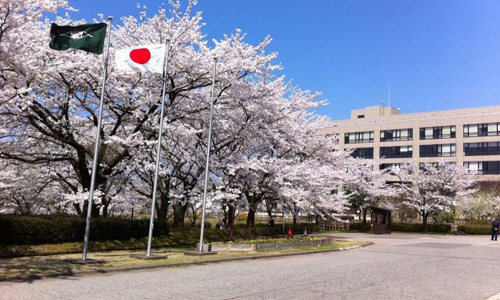 日本艺术留学研究生费用