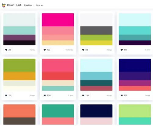 作品集配色色彩灵感平台网站模板