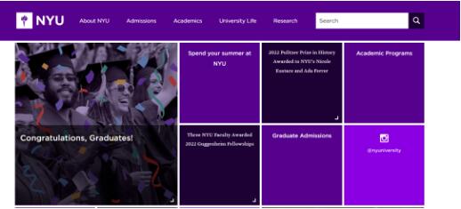 NYU官网截图